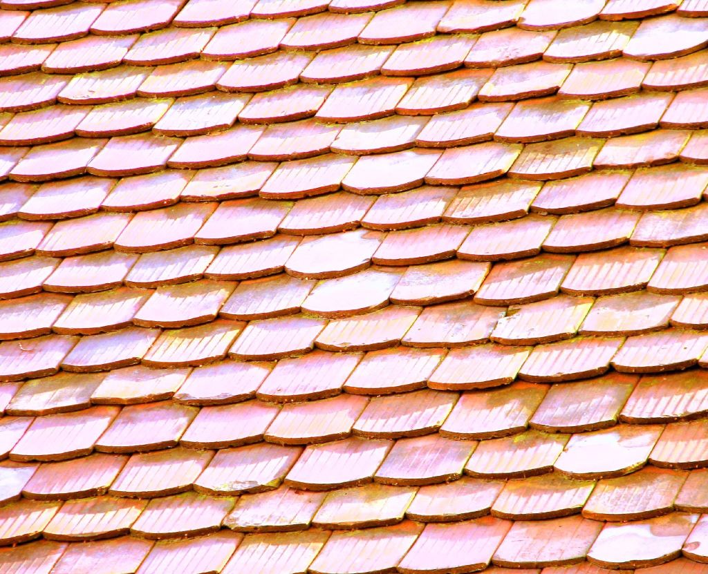 local roofer local roofing